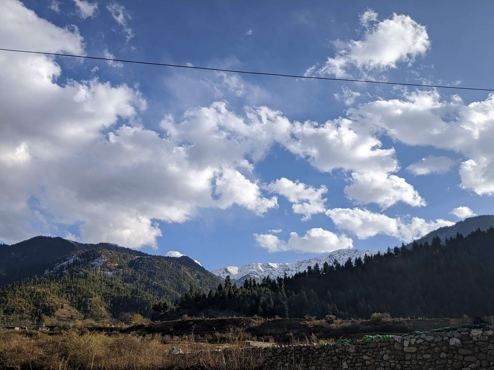 Nature's Wonder